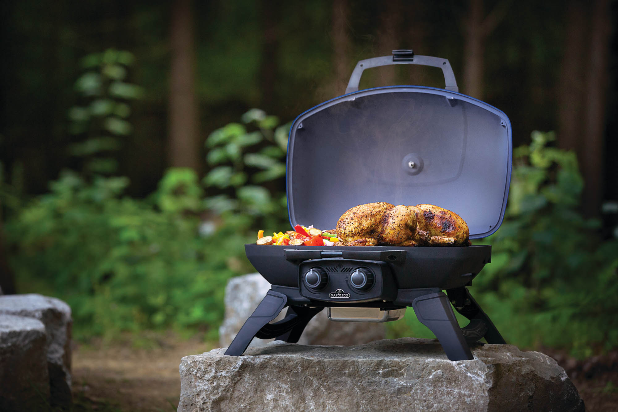 Napoleon_TravelQ_285_Portable_Propane_Gas_Grill_Lifestyle_03